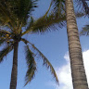 Meet your Posher, Anastasia